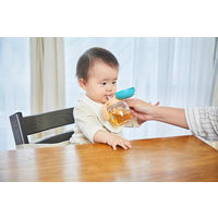 （7ヵ月から）トライ もれないストローマグ グリーン 270ml 1個 リッチェル