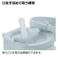 （7ヵ月から）トライ もれない保冷ストローマグ 300 ライトグレー 300ml 1個 リッチェル