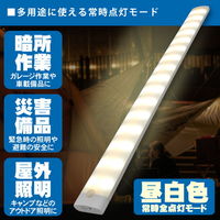 LEDバーライト 日本トラストテクノロジー USB LEDBARライト ワイド 40cm LEDBARSBTーWD40 1個