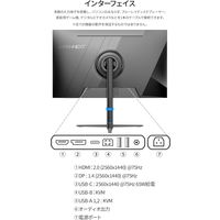 JAPANNEXT 31.5インチ ワイド液晶モニター 画面回転機能、上下昇降機能 JNーIPS315QーHSPC6 1台