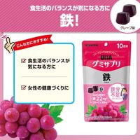 UHA味覚糖　UHAグミサプリ　鉄（10日分）　グレープ味　1セット（1袋（20粒入）×12）　サプリメント