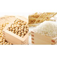 玉井味噌　匠　信州白仕込　500g 1個 マルサンアイ　みそ