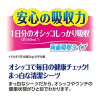 ラビレット ヒノキア 小動物用 うさぎ 三角トイレシーツ 除菌消臭 44枚入 1袋 ジェックス