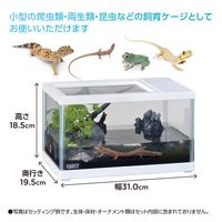 エキゾテラ レプテリア 爬虫類 ガラスケージ ツインビュー 300ホワイト 1個 ジェックス