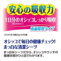 ラビレット ヒノキア 小動物用 うさぎ 正方形トイレシーツ 除菌消臭 30枚入 1袋 ジェックス