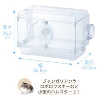 グラスハーモニー360プラス 小動物用 1個 ジェックス