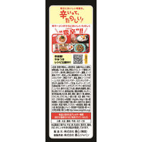 辛ラーメンBLACK3食入り 1セット（1個(3食入)×3） 農心