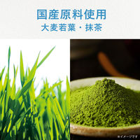 伊藤園 ごくごく毎日1杯の青汁パインmix 350g 1セット（48本）