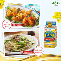 JOYL さらさら キャノーラ油 300g　3本 （紙パック）サラダ油 食用油 J-オイルミルズ  味の素