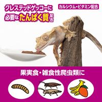 エキゾテラ RepDeli フルーツ＆バグペースト プロテインプラス 国産（2.5g×10本）1個 ジェックス 爬虫類用 餌
