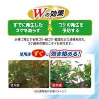 ベストリキッドW コケを減らす・防ぐ 計量キャップ付 国産 150ml 1個 ジェックス 観賞魚用
