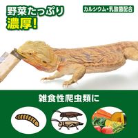エキゾテラ RepDeli ベジミックスペースト バグプラス 国産（5g×6本）1個 ジェックス 爬虫類用 餌