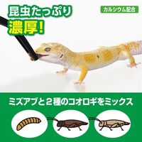 エキゾテラ RepDeli トリプルバグペースト ミズアブ＆コオロギ 国産（5g×6本）1個 ジェックス 爬虫類用 餌