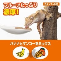 エキゾテラ RepDeli ダブルフルーツペースト バナナ＆マンゴー 国産（2.5g×10本）1個 ジェックス 爬虫類用 餌