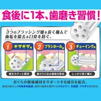 ドギーマン ホワイデント 長持ち歯みがき ギザ棒ガム L 中型・大型犬向き 国産 13本 1袋 犬用 おやつ 歯磨き