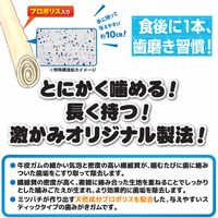 ドギーマン ホワイデント 激かみ！歯みがきガム ホワイト スティック L 中型・大型犬向き 10本 3袋 犬用 おやつ 歯磨き