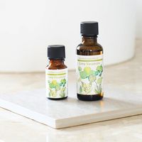 生活の木 ブレンドエッセンシャルオイル ライミ―バカンス 30mL 1セット（1本×2）