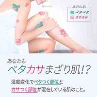 ビオレ ザ ボディ ととのい肌 フルーティ 本体 480ml 花王 (泡タイプ)