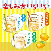 アサヒ飲料 クラフトシロップ すきっとみかん＜希釈用＞プラスチックボトル 470ml 1セット（24本）