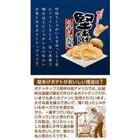 カルビー 60g堅あげポテトうすしお味プッチ4 29199 1セット(1個×5)