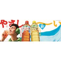 サントリー GREEN DA・KA・RA（グリーンダカラ）やさしいコーン茶 600ml 1箱（24本入）