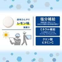 塩分商材 塩分補給 業務用　塩タブレット＜レモン＞　大袋 3個 ロッテ
