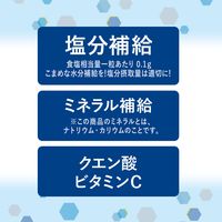 暑さ対策 塩分チャージ 業務用　塩タブレット＜レモン＞　48g 1個