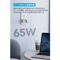Anker Anker PowerPort ＩＩＩ 3ーPort 65W Pod CtoC B2667N22 1本