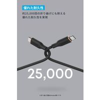 Anker Anker PowerLine III Flow CtoC ケーブル 0.9m A8552N12 1本
