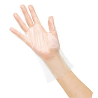 サラヤ サラヤプラスチック手袋EVA Lサイズ クリア 透明 食品衛生法適合 グローブ 53510 1箱(200枚入x20個)（直送品）