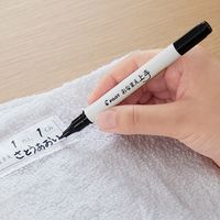 パイロット 油性マーカー なまえペン おなまえ上手 ツインタイプ(細・極細) P-MOJ-1FE-B 1本
