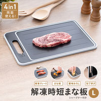 武田コーポレーション 解凍プレート付き多機能まな板L KPSML 1箱(10個入)（直送品）