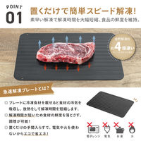 武田コーポレーション 解凍プレートL KPL-BK 1箱(36個入)（直送品）