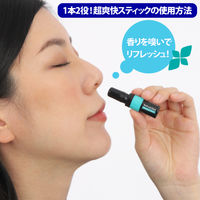 鼻爽快スティック 超爽快 ストロングタイプ 1.6ml サイキョウ・ファーマ