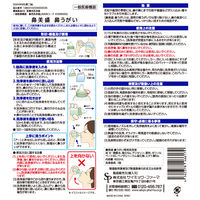 鼻美盛 鼻うがい 洗浄器具付 600ml 洗浄器具+洗浄液 サイキョウ・ファーマ