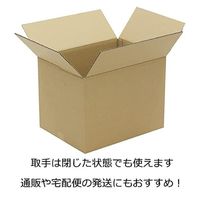 【120サイズ】取っ手付きダンボール 450×340×330mm NO251 1セット（1梱包（10枚入）×5） ロジマート
