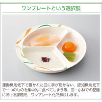 三信化工 三ツ仕切皿 UMS-230RKIH 1個（直送品）