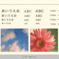 竹尾 心づく紙 竹簀の目 クリーム A4 10枚入 1747167 1セット(1袋×3)（直送品）
