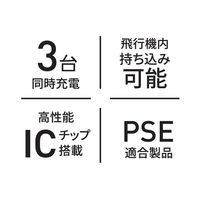 磁気研究所 Type-C入出力対応モバイルバッテリー 10000mAh ホワイト 簡易包装 HD4-MBTC10000WHP 1個（直送品）