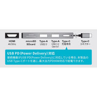 磁気研究所 Type-Cポートから複数の機器を同時接続 Type-C 6in1 USBハブ HD-6IN1HBSV 1個（直送品）