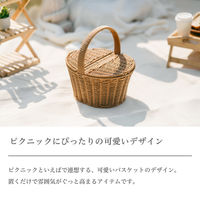 武田コーポレーション ピクニックバスケット PPB24-30 1箱(4個入)（直送品）