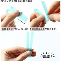 信越工業 手芸用PPバンドスリッター すりったん PP-SLITTER 1個（直送品）