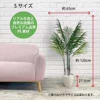 【軒先渡し】URBAN フェイクグリーン アレカヤシ 幅650×奥行650×高さ1200mm アイボリー ARE-120IV 1台（直送品）