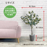 【軒先渡し】URBAN フェイクグリーン ユーカリ 幅700×奥行700×高さ1200mm アイボリー EUP-120IV 1台（直送品）