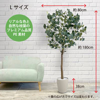 【軒先渡し】URBAN フェイクグリーン ユーカリ 幅800×奥行800×高さ1800mm アイボリー EUP-180IV 1台（直送品）
