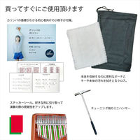 URBAN カリンバ サーフボード ナチュラル GKL-300NA 1台（直送品）