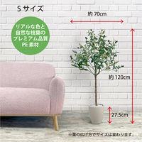 【軒先渡し】URBAN フェイクグリーン オリーブ 幅700×奥行700×高さ1200mm アイボリー OLE-120IV 1台（直送品）