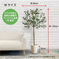 【軒先渡し】URBAN フェイクグリーン オリーブ 幅800×奥行800×高さ1500mm アイボリー OLE-150IV    1台（直送品）