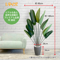 【軒先渡し】URBAN フェイクグリーン ストレチリア 幅800×奥行800×高さ1800mm グレー STR-180GY 1台（直送品）