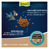 テトラ コリドラス 底棲魚用 観賞魚用フード 円盤タイプ 沈下性 100g 3個 スペクトラムブランズジャパン